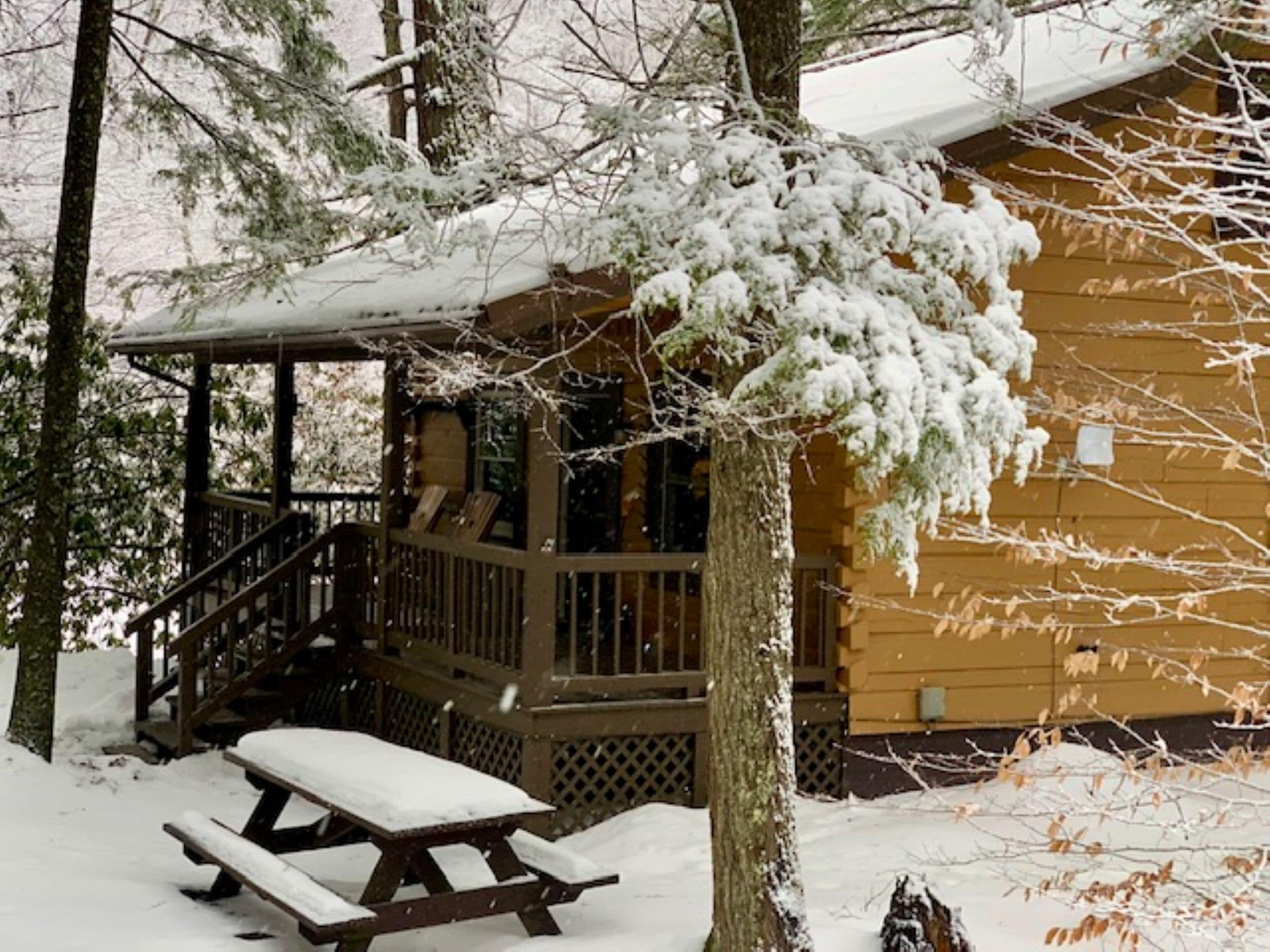 A wooden cabin with a covered porch and a picnic table, surrounded by snow-covered trees.