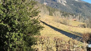 Uklassifisert bilde, 3 av 27, knapp