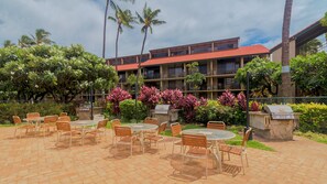 Restauration en plein air