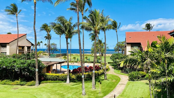 Àrea exterior de l'allotjament