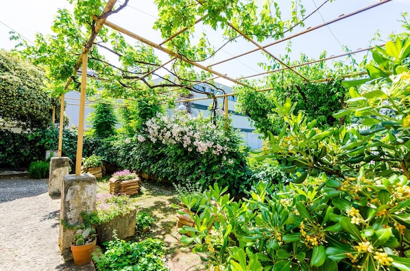 Um jardim exuberante com diversas plantas e flores, uma estrutura de pérgola e um caminho de pedra.