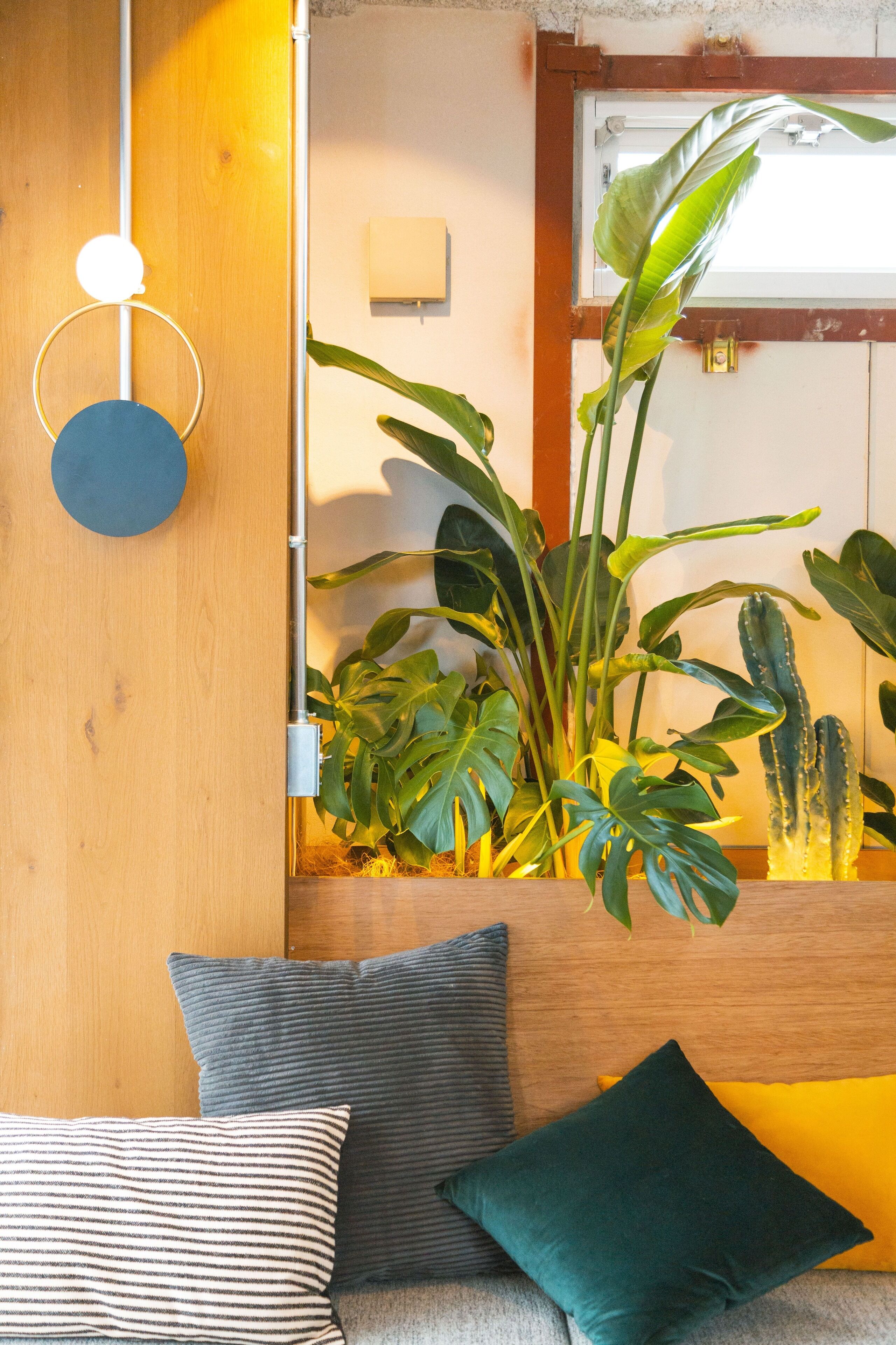 Blackout curtains, free WiFi