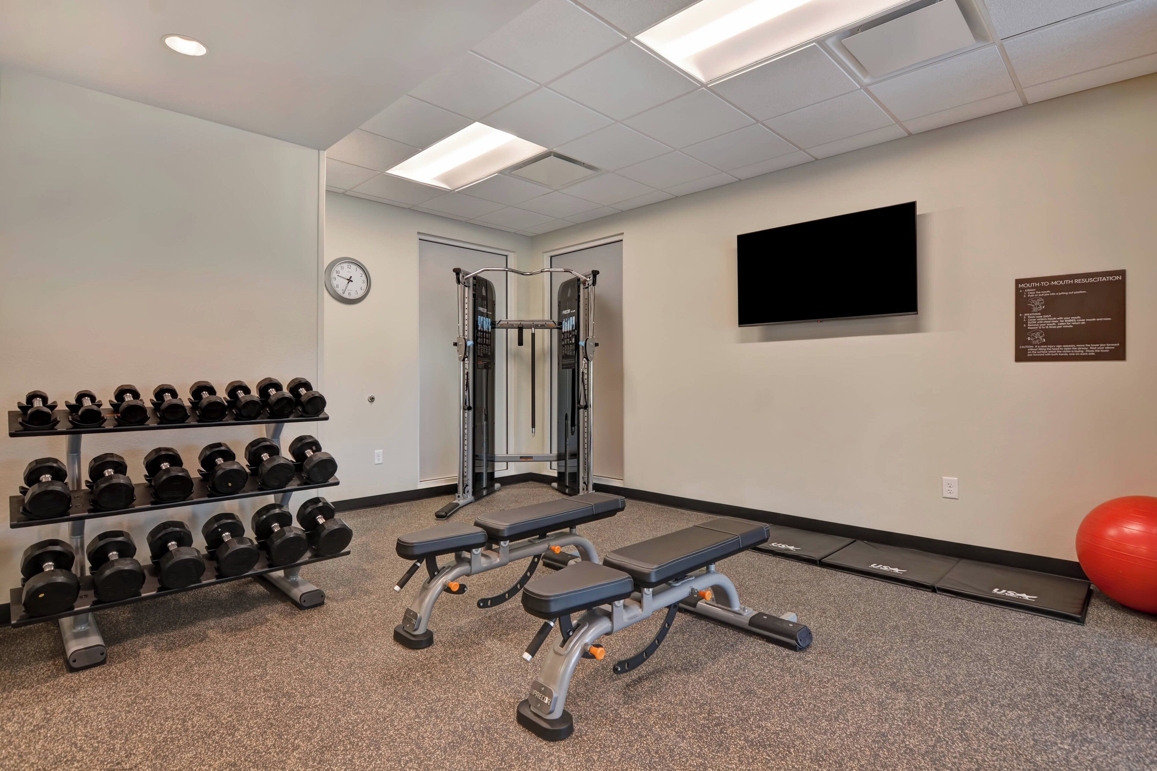 Ein Fitnessraum mit Gewitterracks, Bänken, einem Squat-Rack und einem roten Trainingsball.
