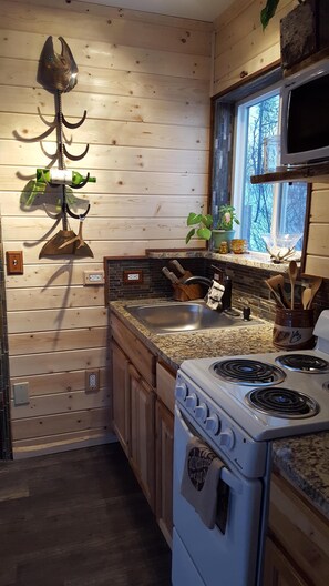 Réfrigérateur, four à micro-ondes, un four, surface de cuisson