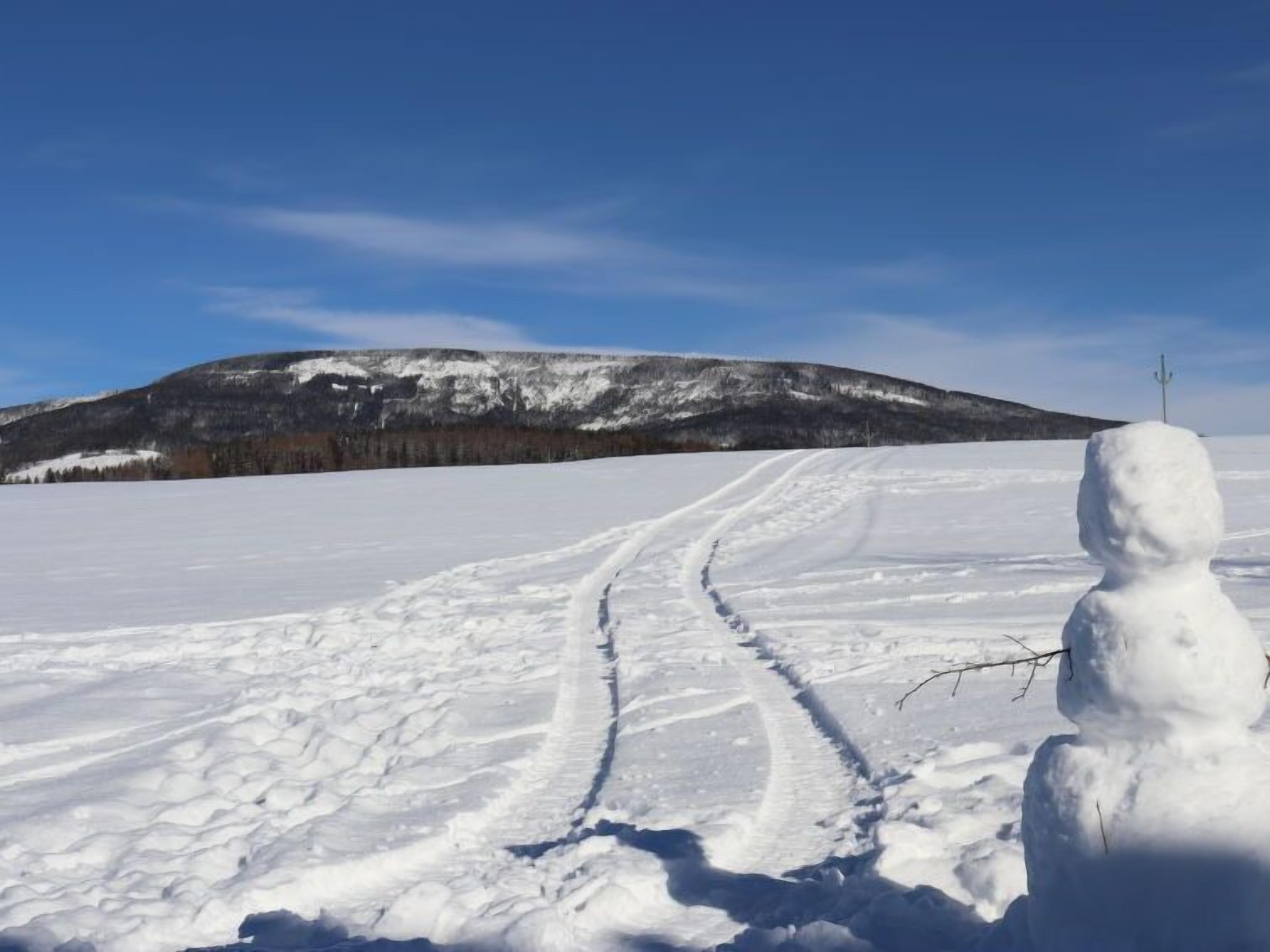 A snowman in a snowy landscape with a mountain in the background.