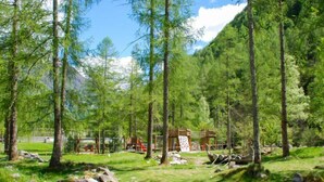 Ein bewaldetes Gebiet mit einem Spielplatz und einer Holzkonstruktion.