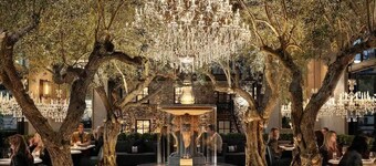 Elegant Napa Escape | Walk to Wineries & Dining
