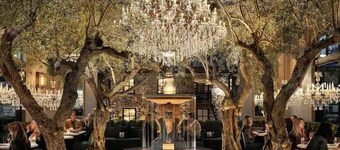 Newly Decorated Napa Valley Condo Near Wineries
