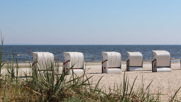 Une plage avec quatre chaises en osier blanc alignées en rangée, face à l’océan.