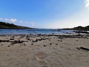 Beach - 1 Bedroom apartment 1 (De Kelders)