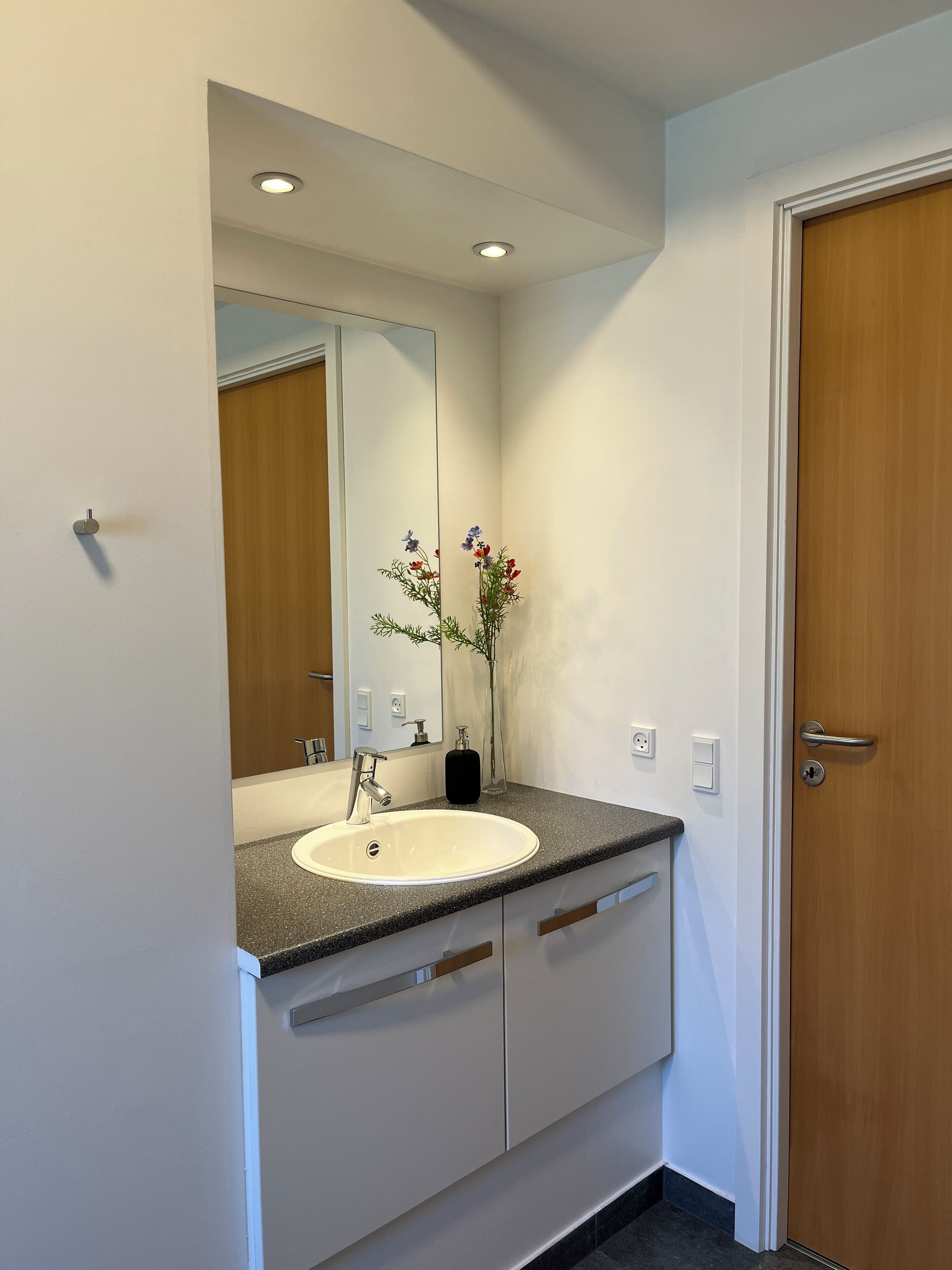 A modern bathroom with a white sink, a mirror, and a wooden door.