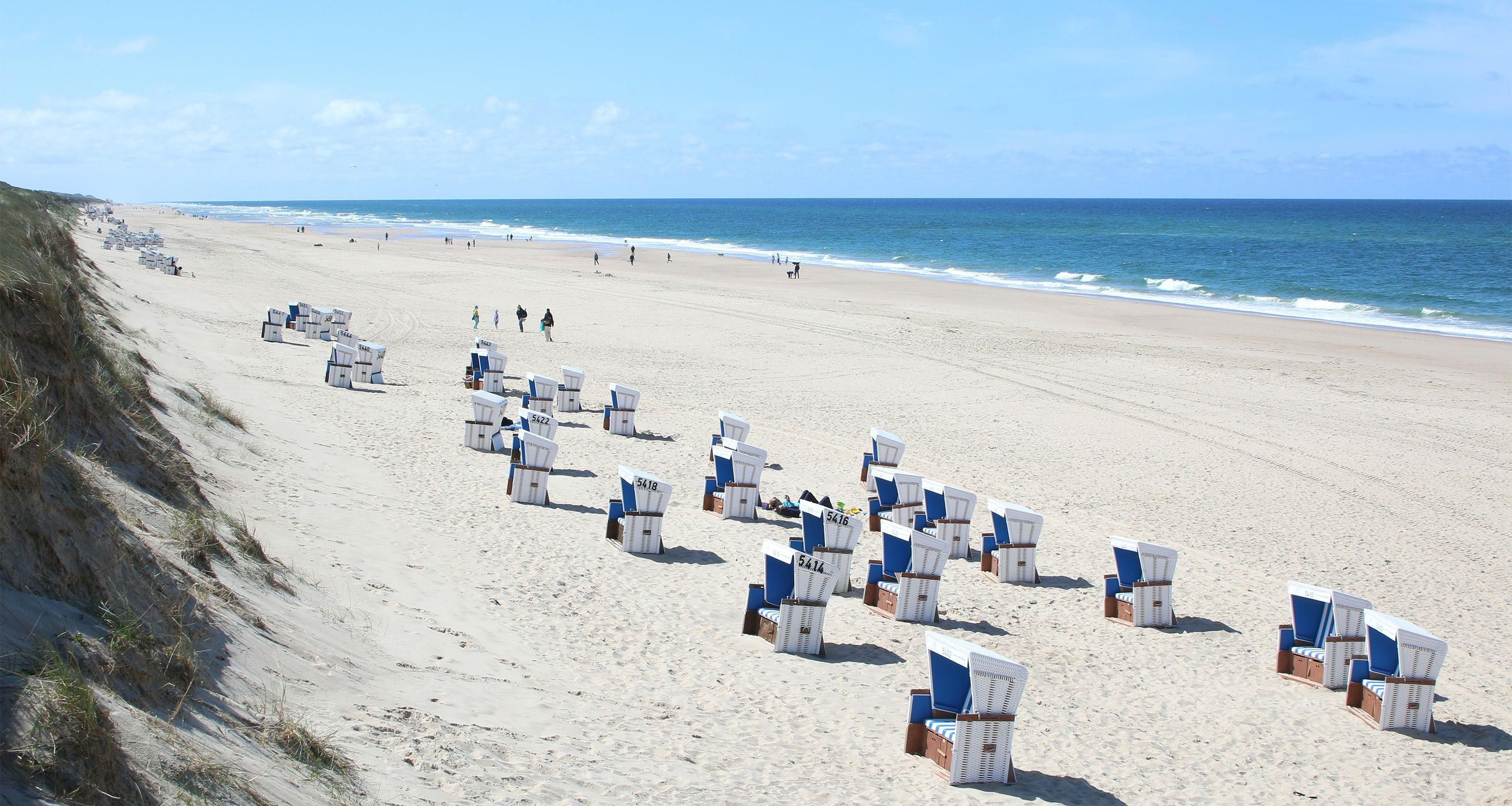 Een strand met rijen genummerde ligbedden en een grasduin links.