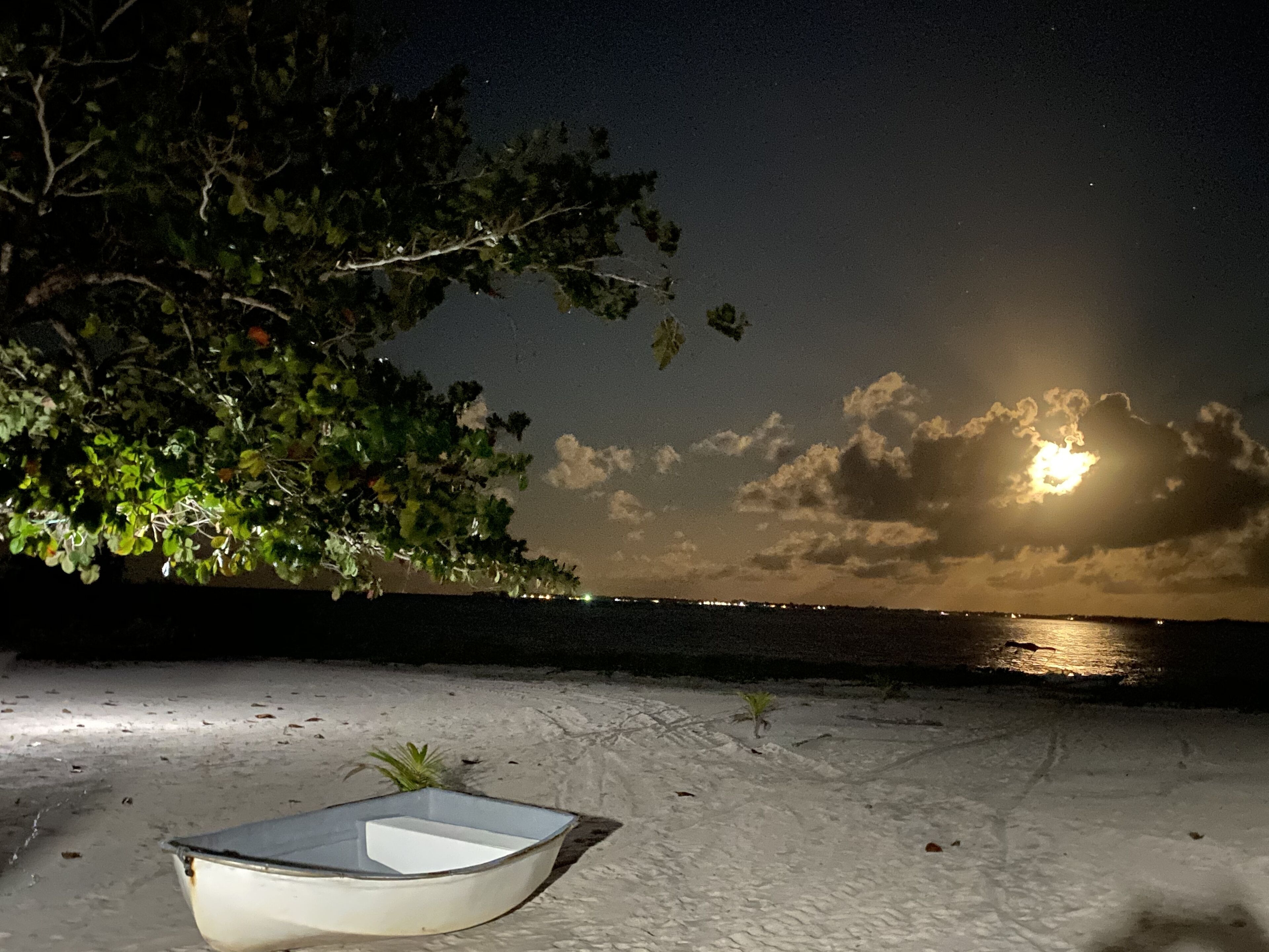 A boat on a sandy beach at night with a tree and a bright moon in the sky.
