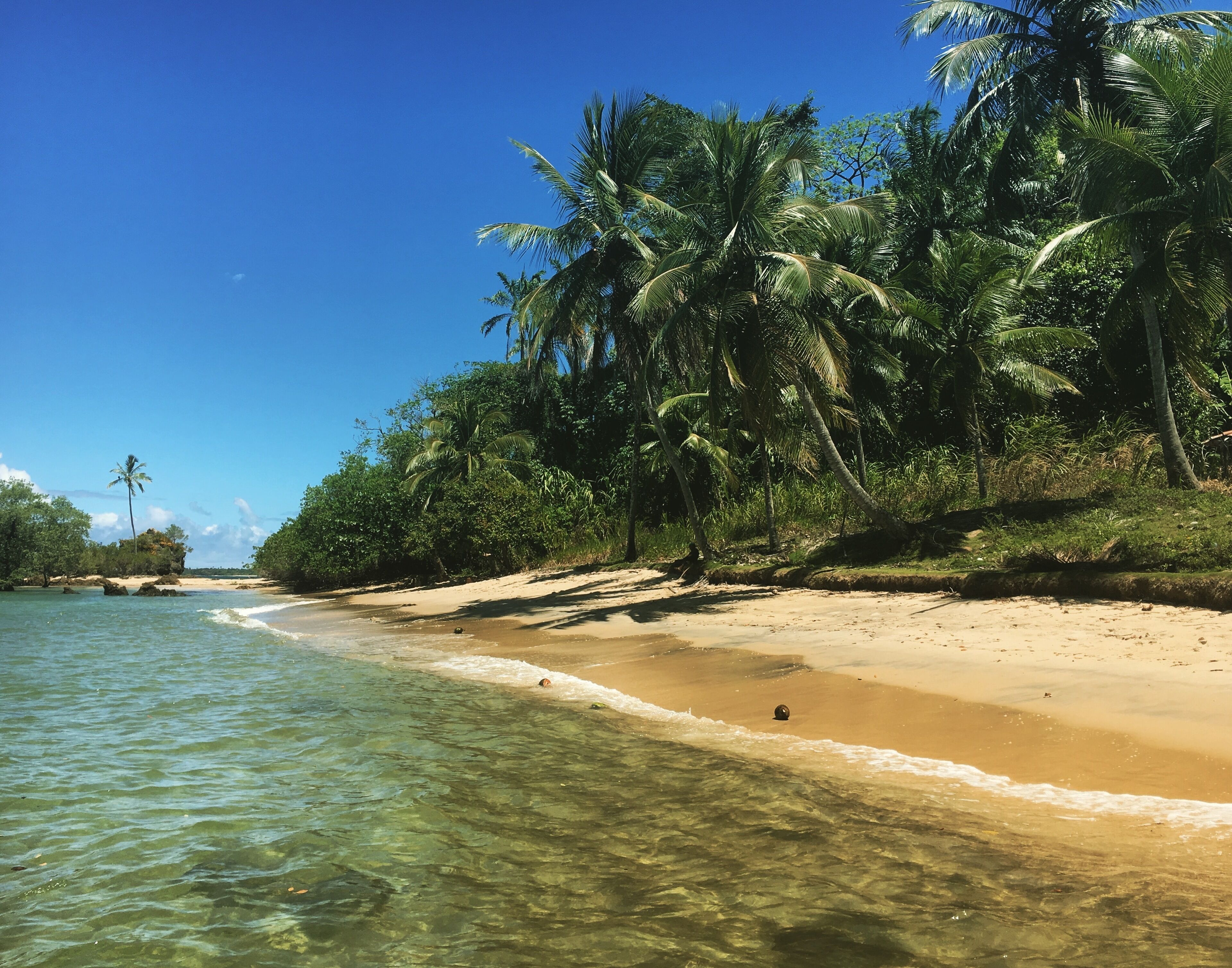Une plage à l’eau claire, avec un rivage sablonneux et des palmiers.
