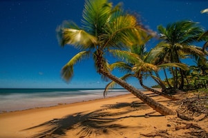 En la playa, arena blanca, traslado desde/hacia la playa