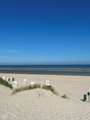 Sun-loungers, beach towels - Top country house for family & friends with dreamlike property (Westerholt)