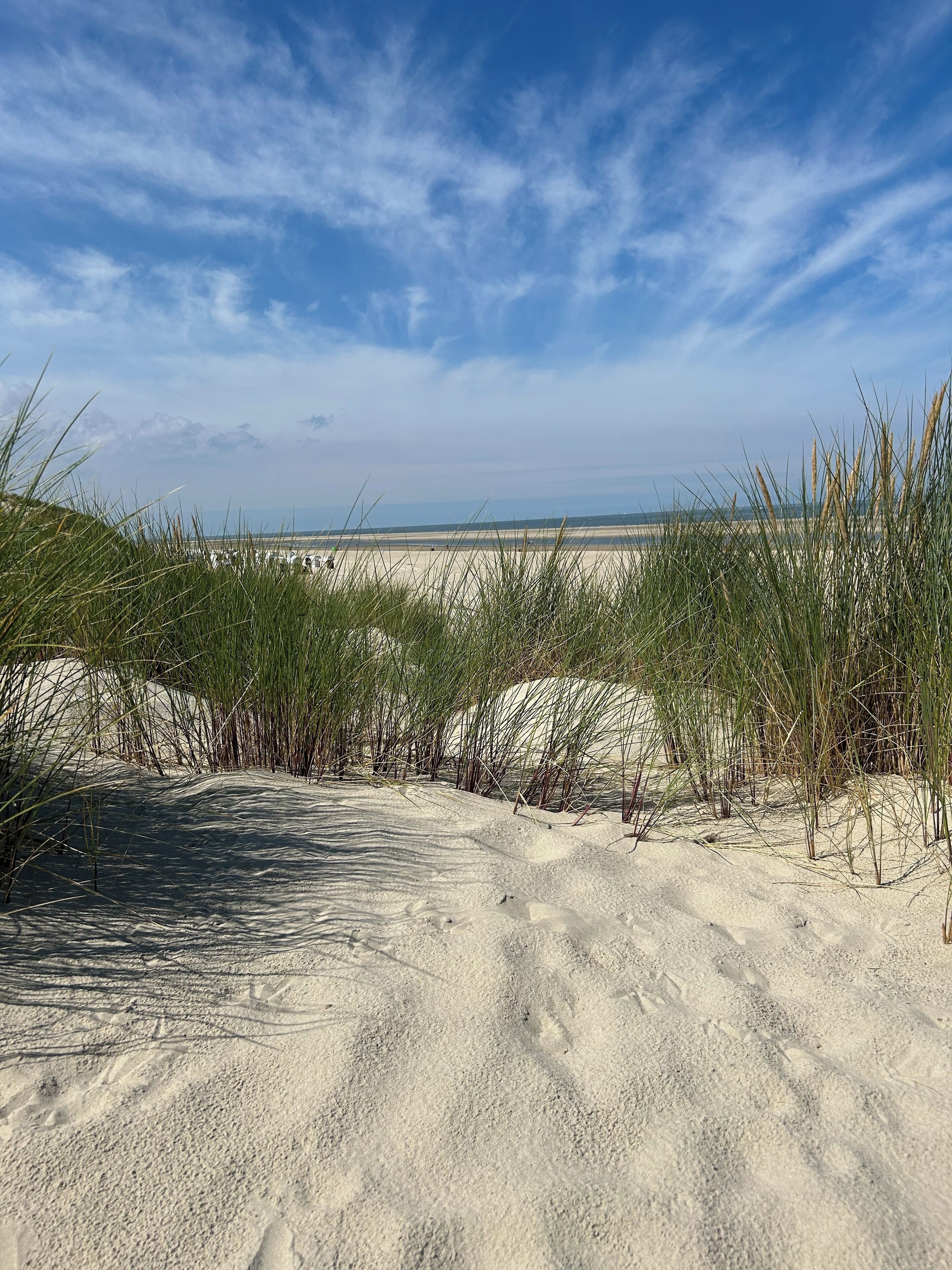 Sun loungers, beach towels