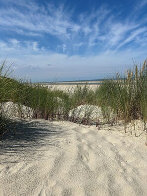 Une plage de sable avec des dunes et une végétation clairsemée.