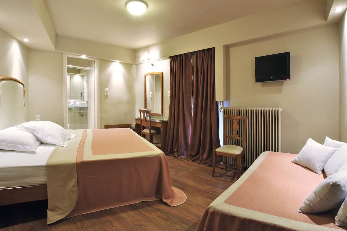 A hotel room with two beds, a desk, a chair, a mirror, a television, and a radiator.