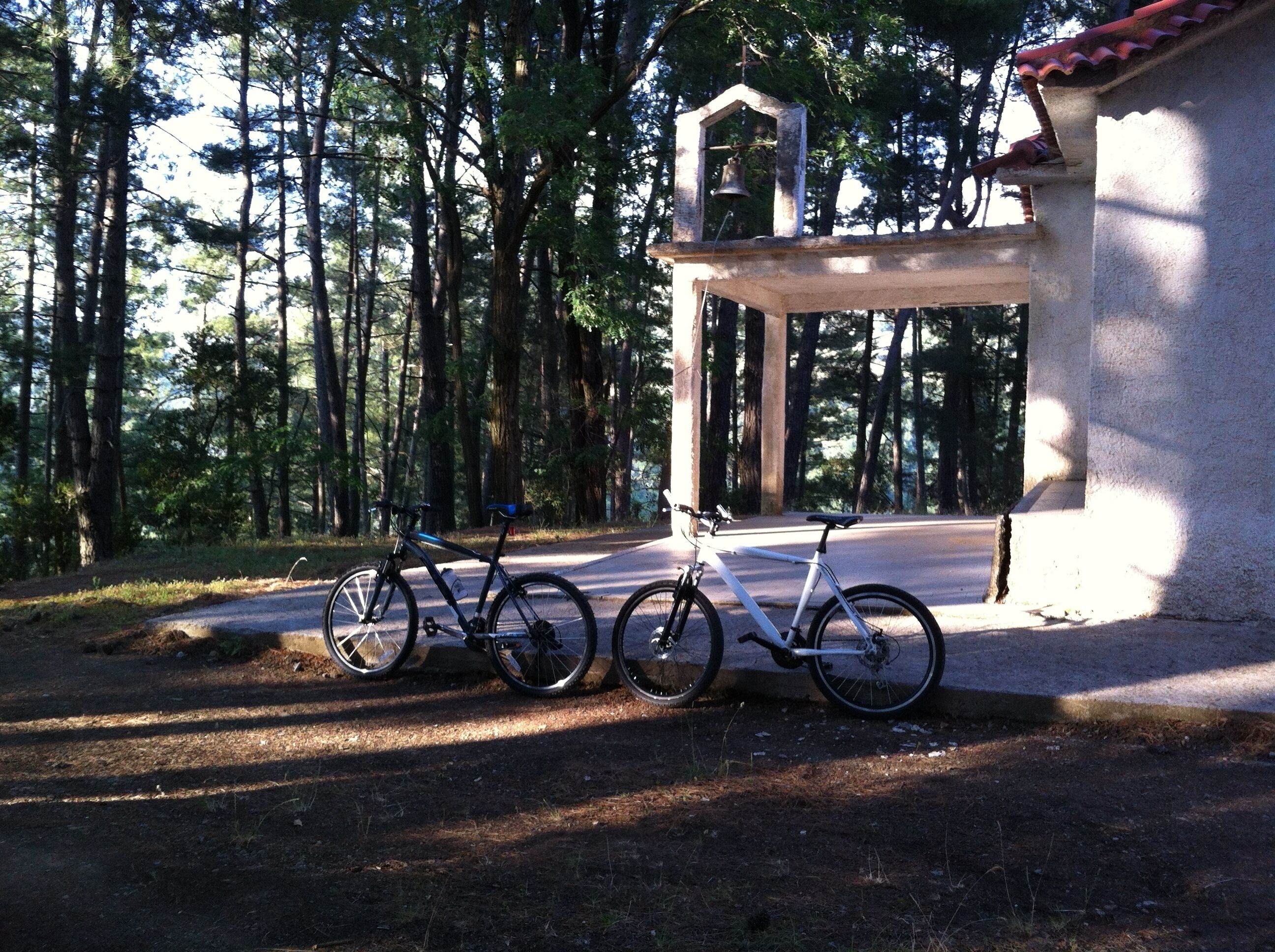 Una bicicleta estacionada frente a un edificio con una torre campanario, rodeada de un bosque.