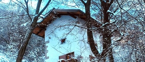 Extérieur