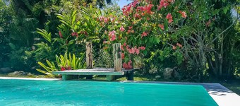 Villa Strelitzia Cabarete