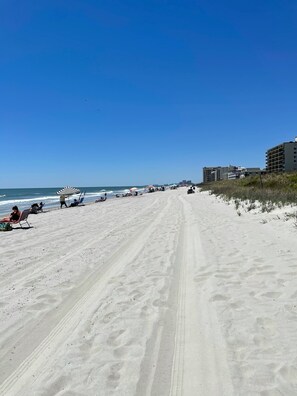 Beach nearby - Huge private pool, dog friendly, fenced in yard, and just steps to the beach (North Myrtle Beach)