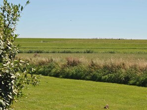 Exterior - Lovely Holiday Home in Texel near Sea (Oosterend)