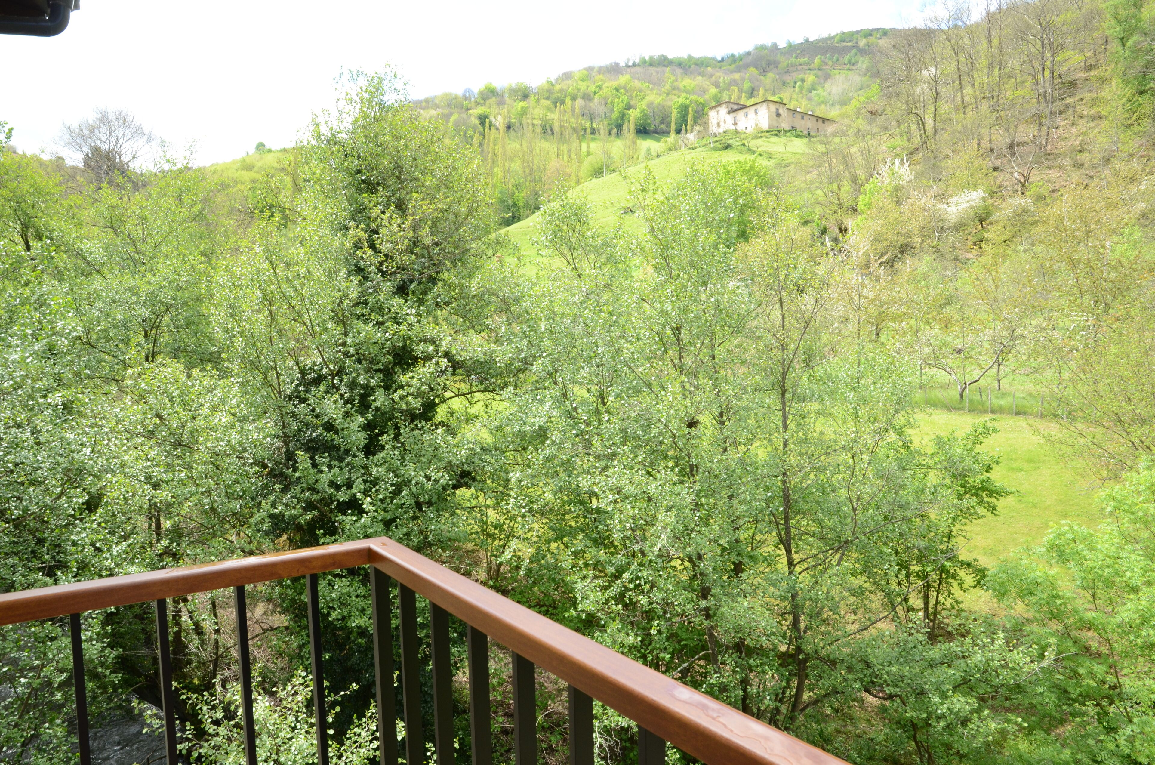 Landuitzicht vanuit accommodatie