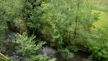 A river surrounded by dense green foliage.