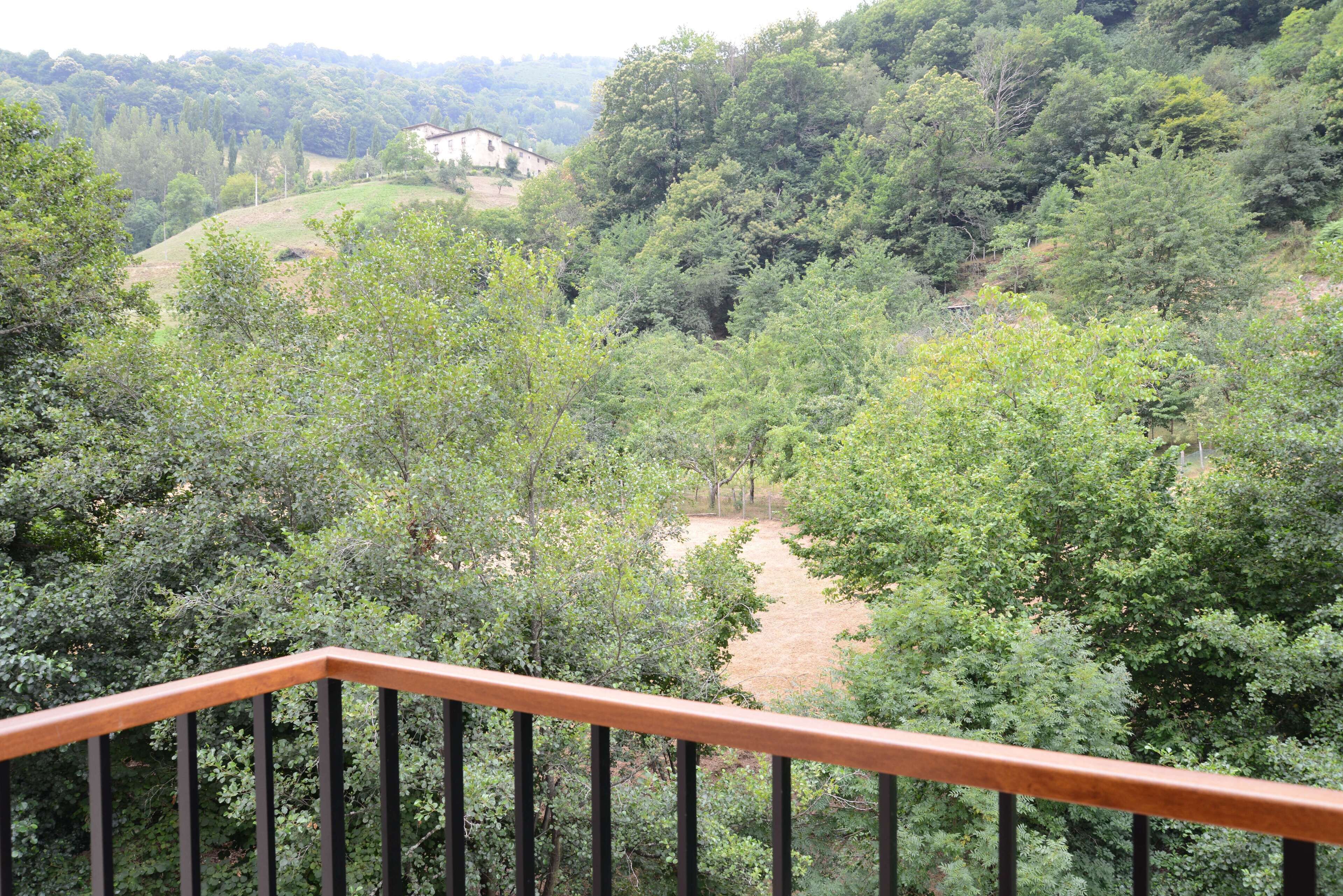 Blick vom Balkon mit Holzgeländer auf eine üppige, grüne Landschaft mit dichten Bäumen und einem Feldweg, der zu einem Gebäude in der Ferne führt.