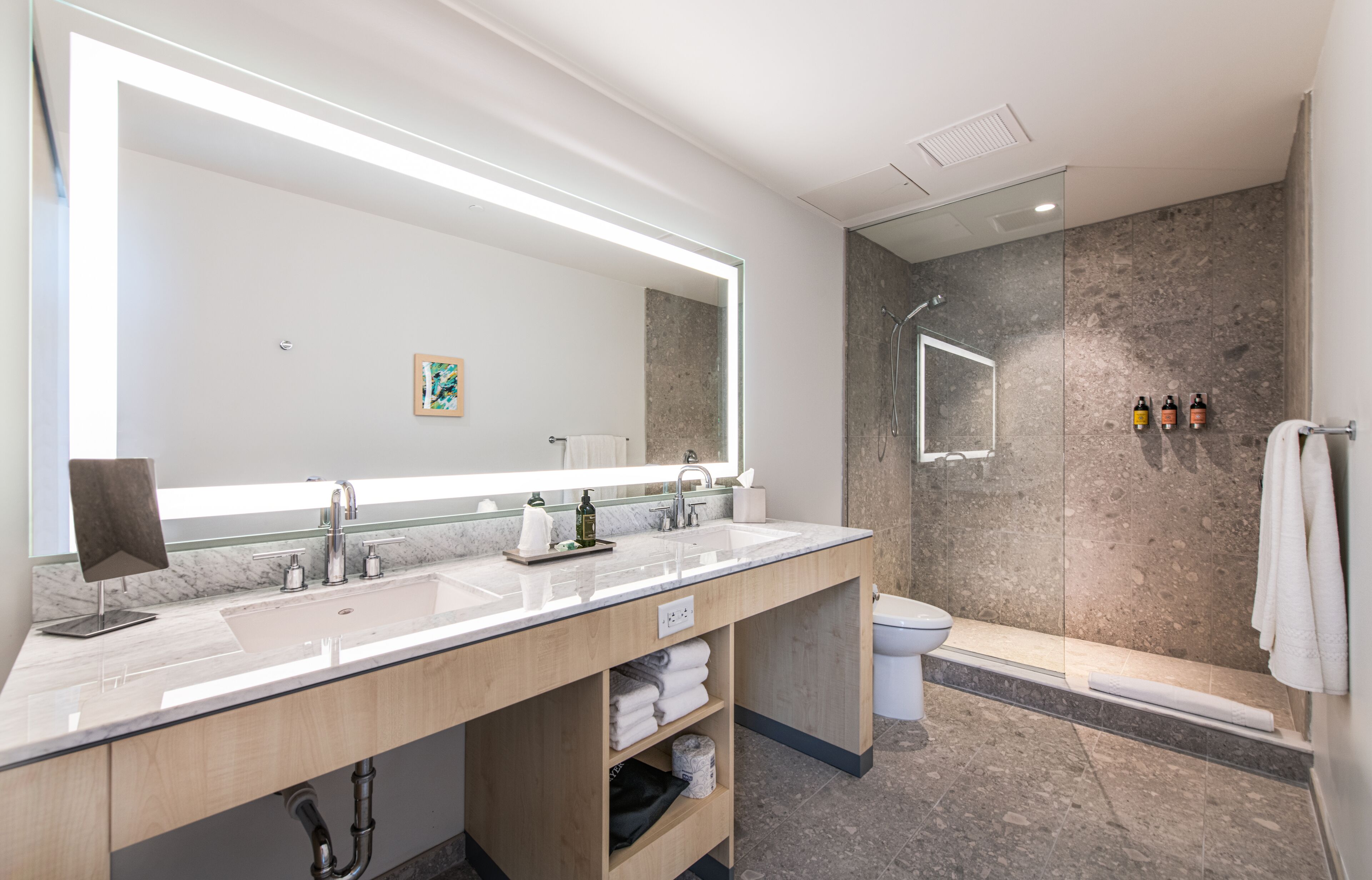 shower, rainfall showerhead, designer toiletries, hair dryer