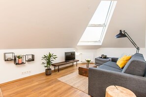 Fernseher, Arbeitsbereiche