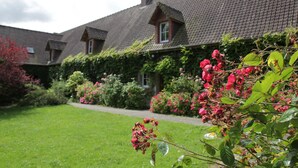 Une rangée de maisons avec une pelouse bien entretenue et des arbustes en fleurs.