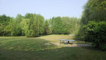 Taman