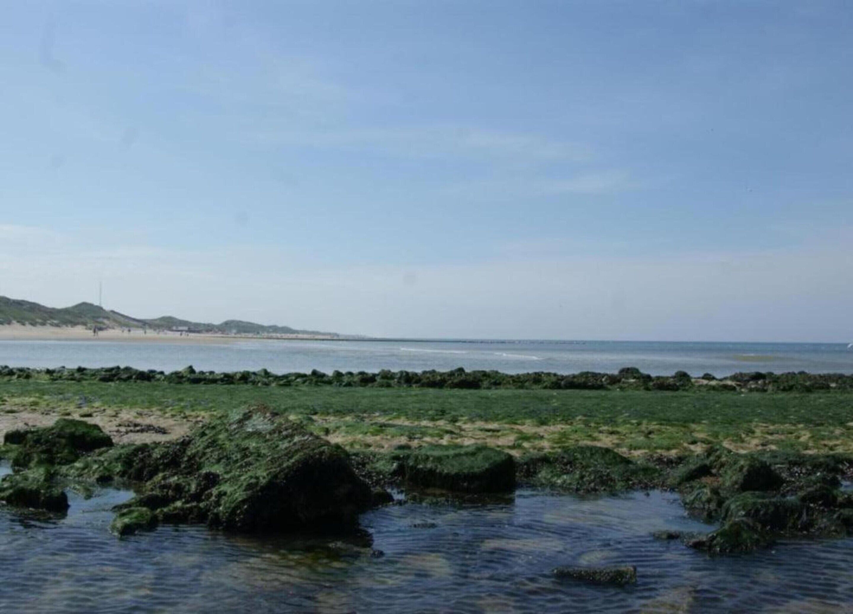 Pemandangan dari properti