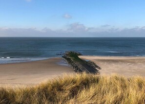 House | View from property - Peaceful Dune Retreat With Garden (Schoorl)