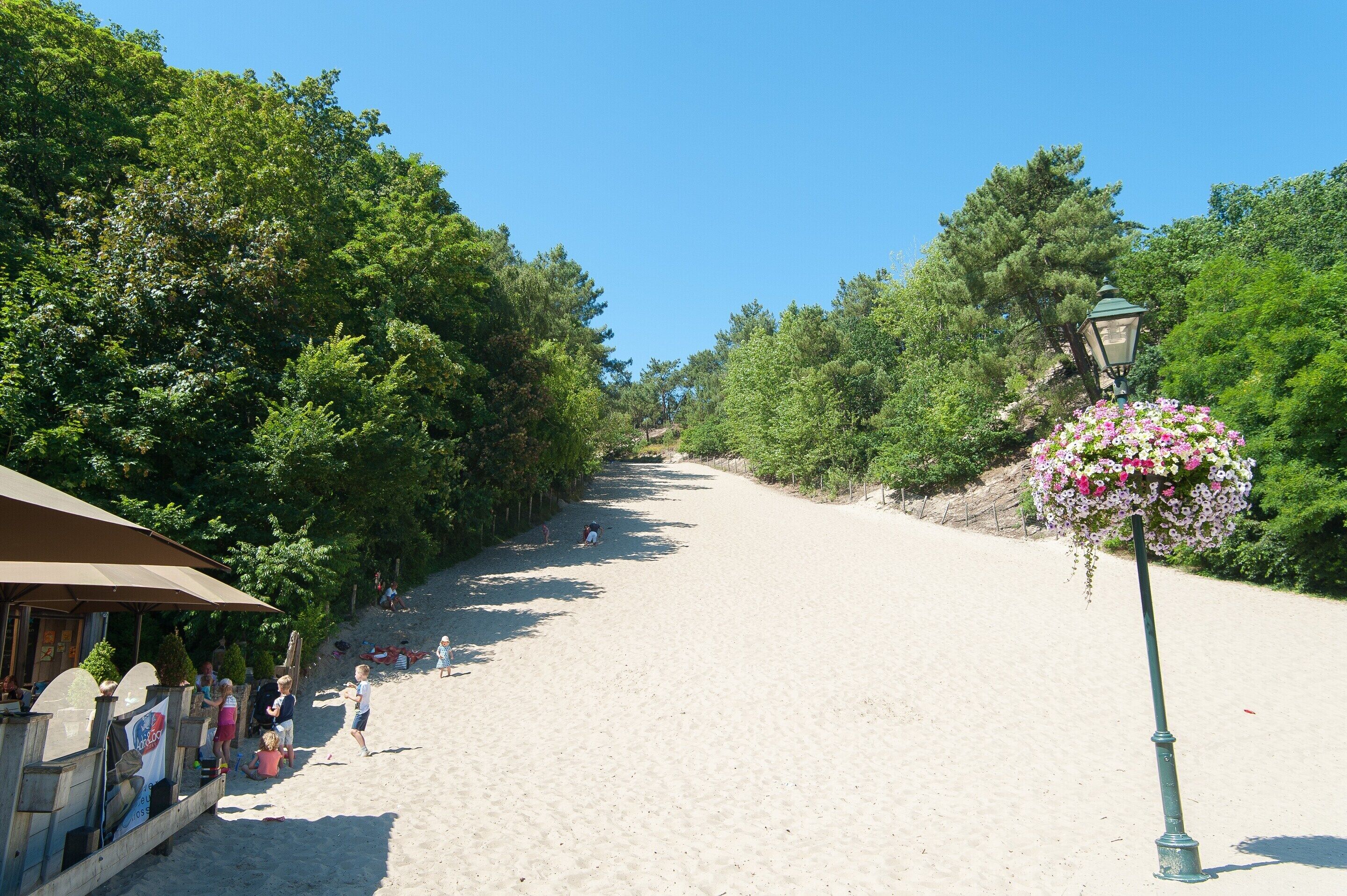Une plage de sable bordée d’une rangée d’arbres et d’un lampadaire décoré de fleurs.