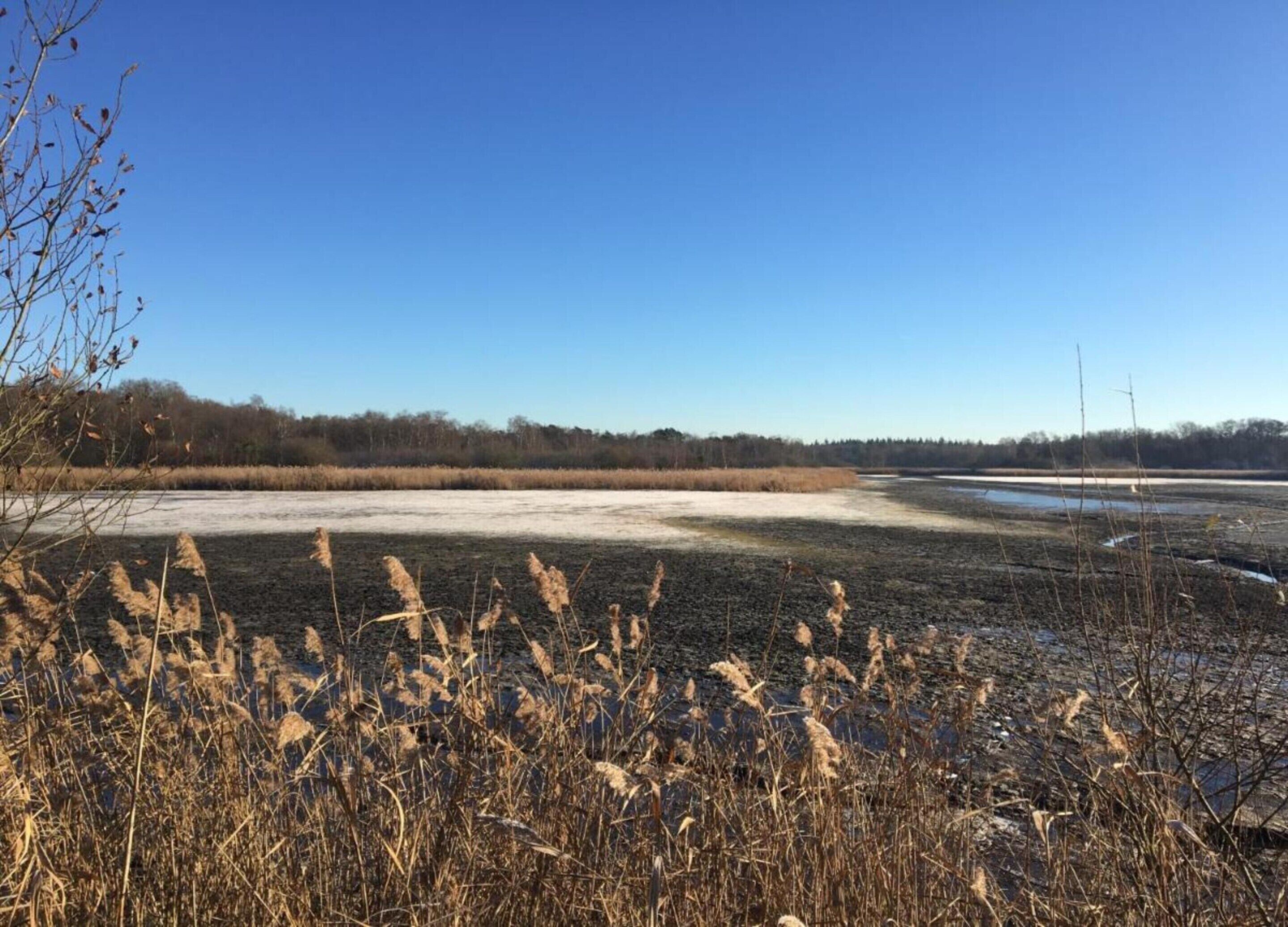 A natural landscape with a clear sky, a frozen water body, and dry vegetation.