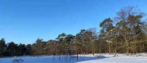 單棟房屋 | 住宿景觀