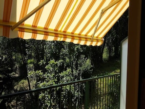 Appartement, 1 chambre | Balcon