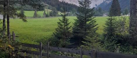 Apartment | View from property