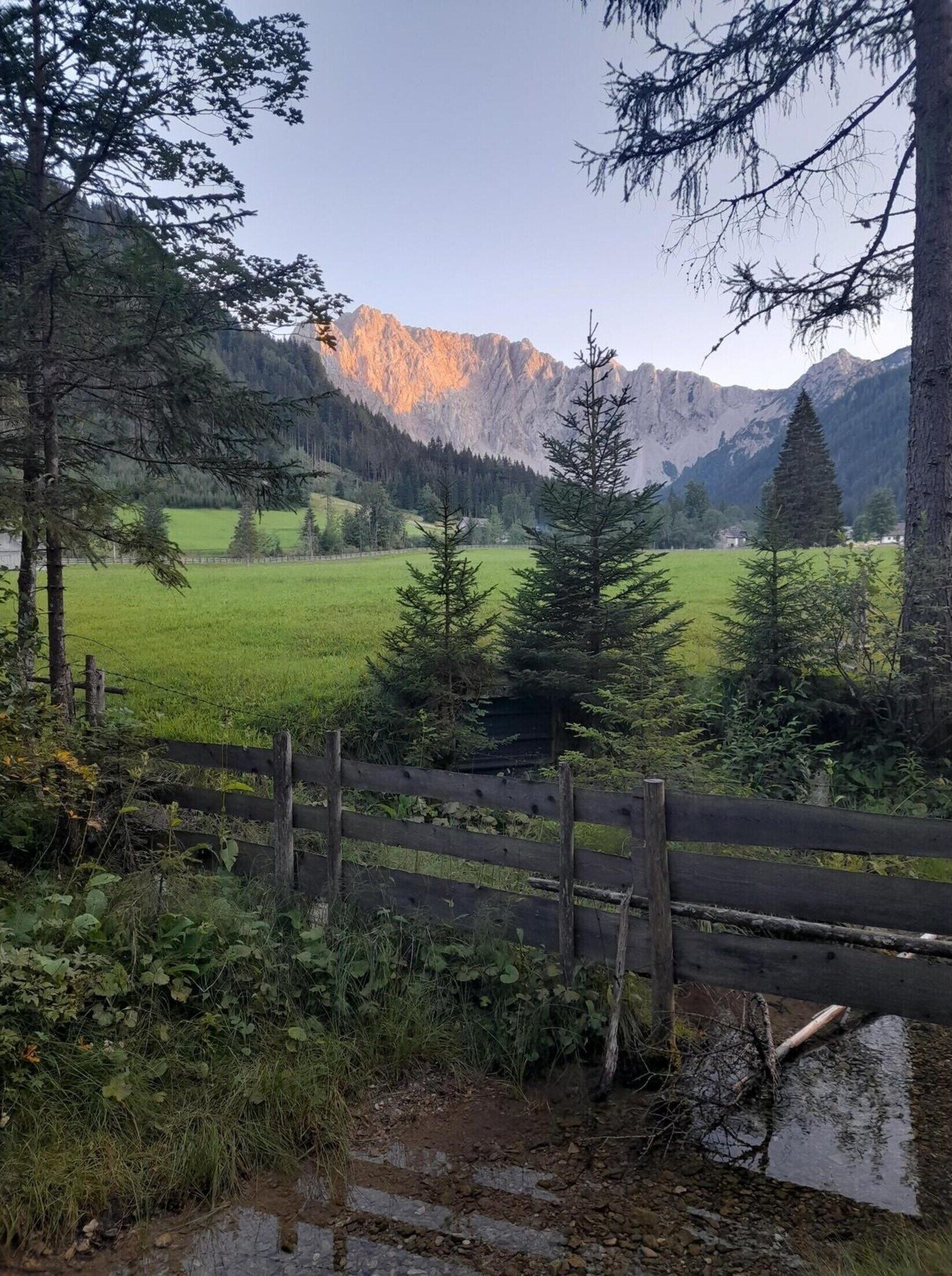 View from property