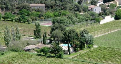 Nice House With Garden, Private Pool, Summer Kitchen and View of Mont Ventoux