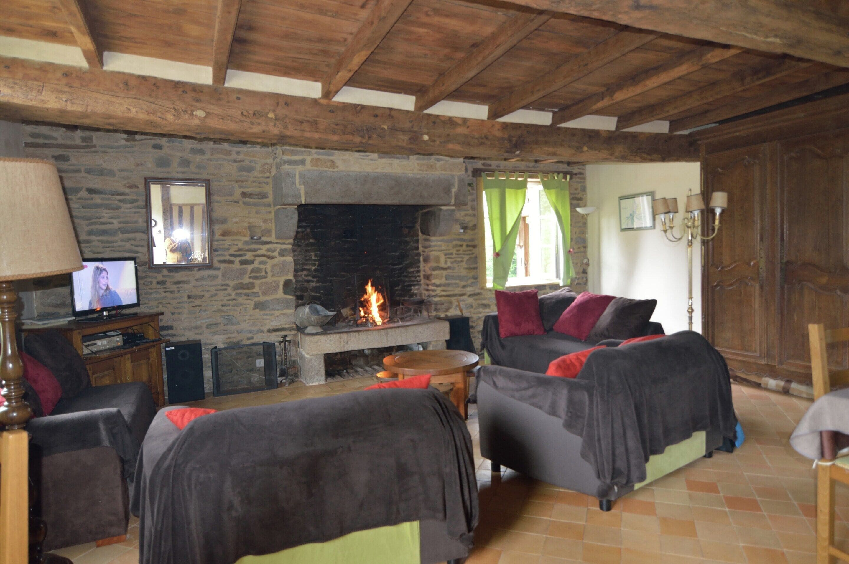 House | Living room | Fireplace
