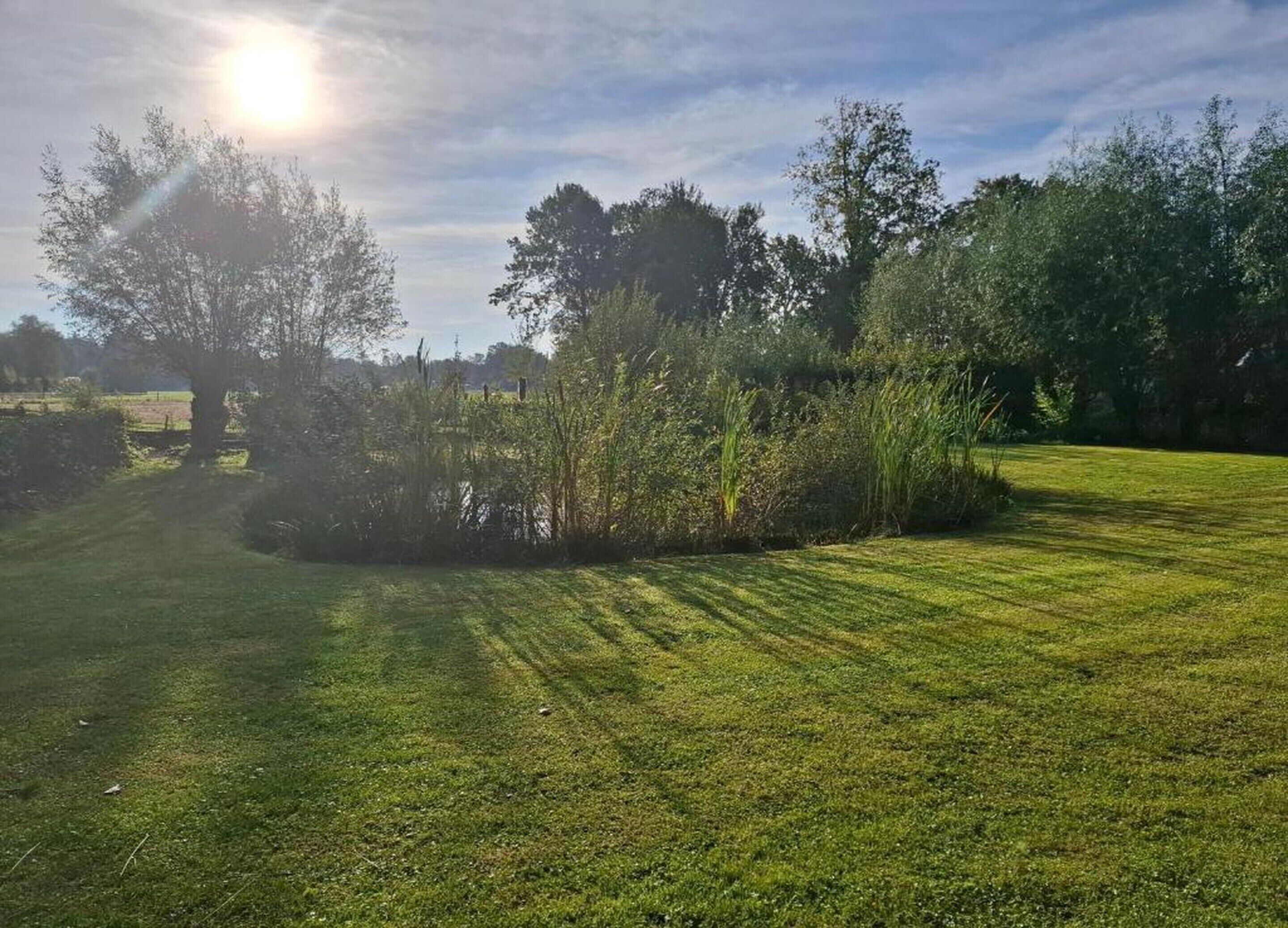 A well-maintained grassy area with trees and shrubs, likely part of a park or garden setting.