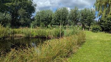 House | View from property