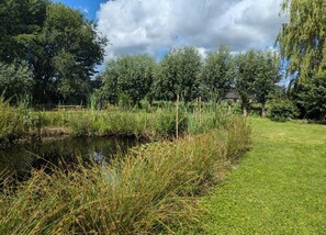 House | View from property - Relaxing Woodland Retreat (Rheezerveen)