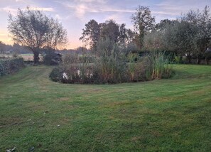 View from property - Relaxing Woodland Retreat (Rheezerveen)