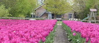Luxury Holiday Home with Hot Tub In Noordbeemster